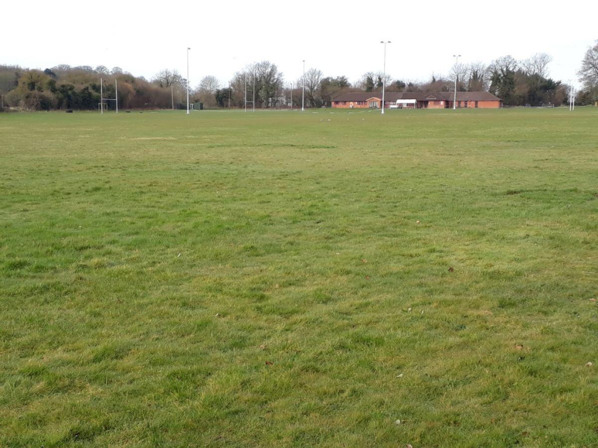 Triangle field one